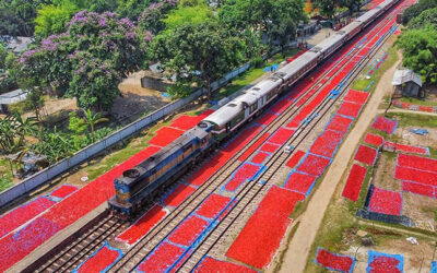 রেললাইনের ধারে ‘লালগালিচা’, দেখুন ছবিতে