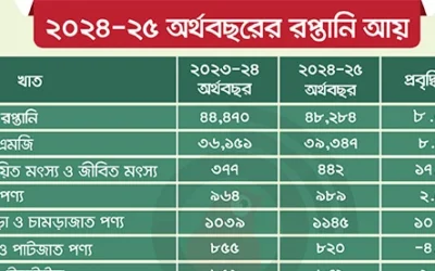 বাধা পেরিয়ে বেড়েছে রপ্তানি আয়, প্রত্যাশা ছুঁতে পারেনি প্রবৃদ্ধি