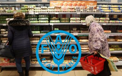 জ্বালানি খরচ বাড়ায় মার্চে বৈশ্বিক খাদ্যমূল্য ২ দশমিক ৪ শতাংশ বৃদ্ধি