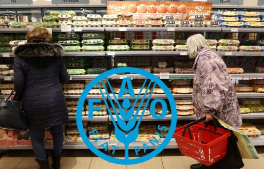 জ্বালানি খরচ বাড়ায় মার্চে বৈশ্বিক খাদ্যমূল্য ২ দশমিক ৪ শতাংশ বৃদ্ধি